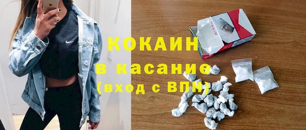 индика Навашино