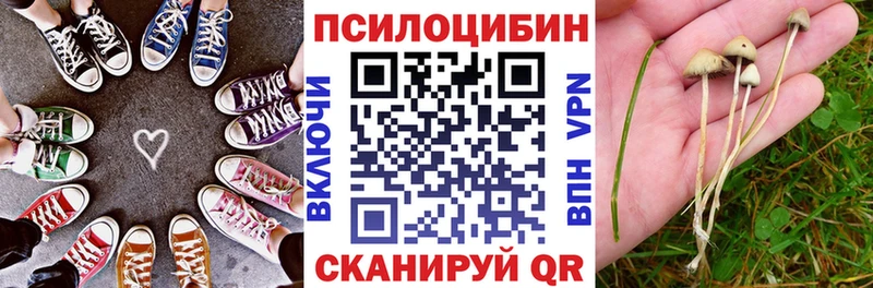 закладка  Шадринск  Галлюциногенные грибы мицелий 